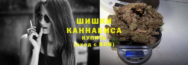 a pvp Гусев