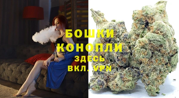 прущие грибы Нестеровская