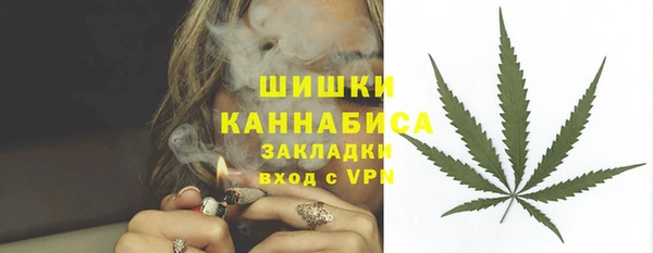 a pvp Гусев