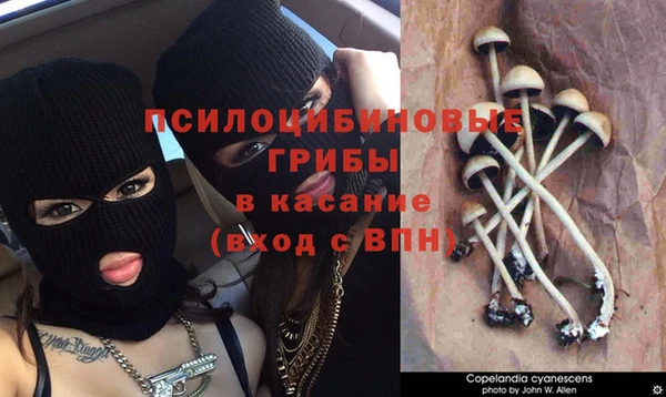 MESCALINE Гусь-Хрустальный
