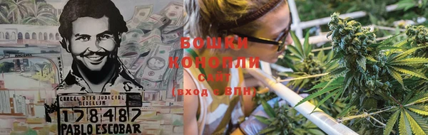 spice Гусиноозёрск