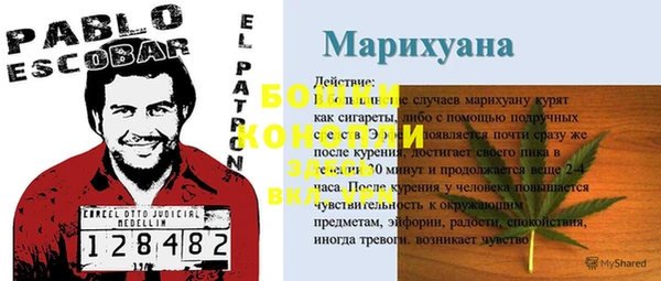 spice Гусиноозёрск