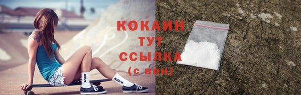 spice Гусиноозёрск