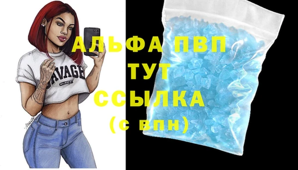 a pvp Гусев