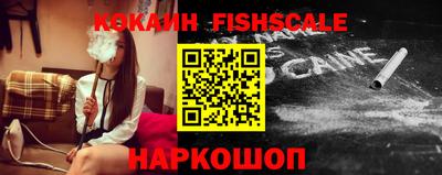 крисы Коммунар