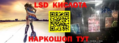 крисы Коммунар